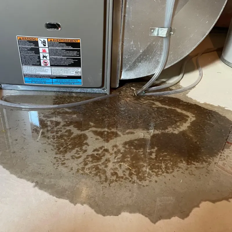 Appliance Leak Cleanup in New Pekin, IN